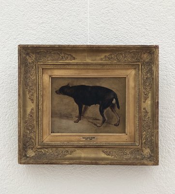 Jacques-Laurent Agasse, Dog Study, Oil on Cardboard, Pre-1800